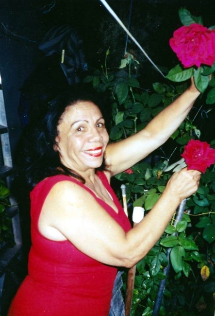 Obituary of Altagracia Esperanza "Tata" Hernández Matias