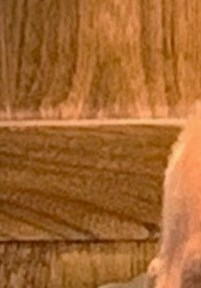 Jean Proteau Obituary Montreal, QC