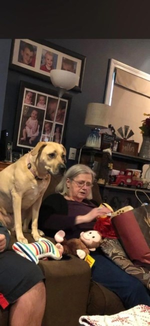 Obituary of Joanne Harbolic