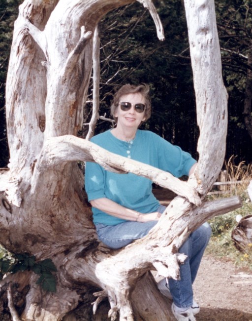 Obituary of Patricia May Freeman