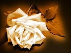 Obituary of Elizabeth Thompson