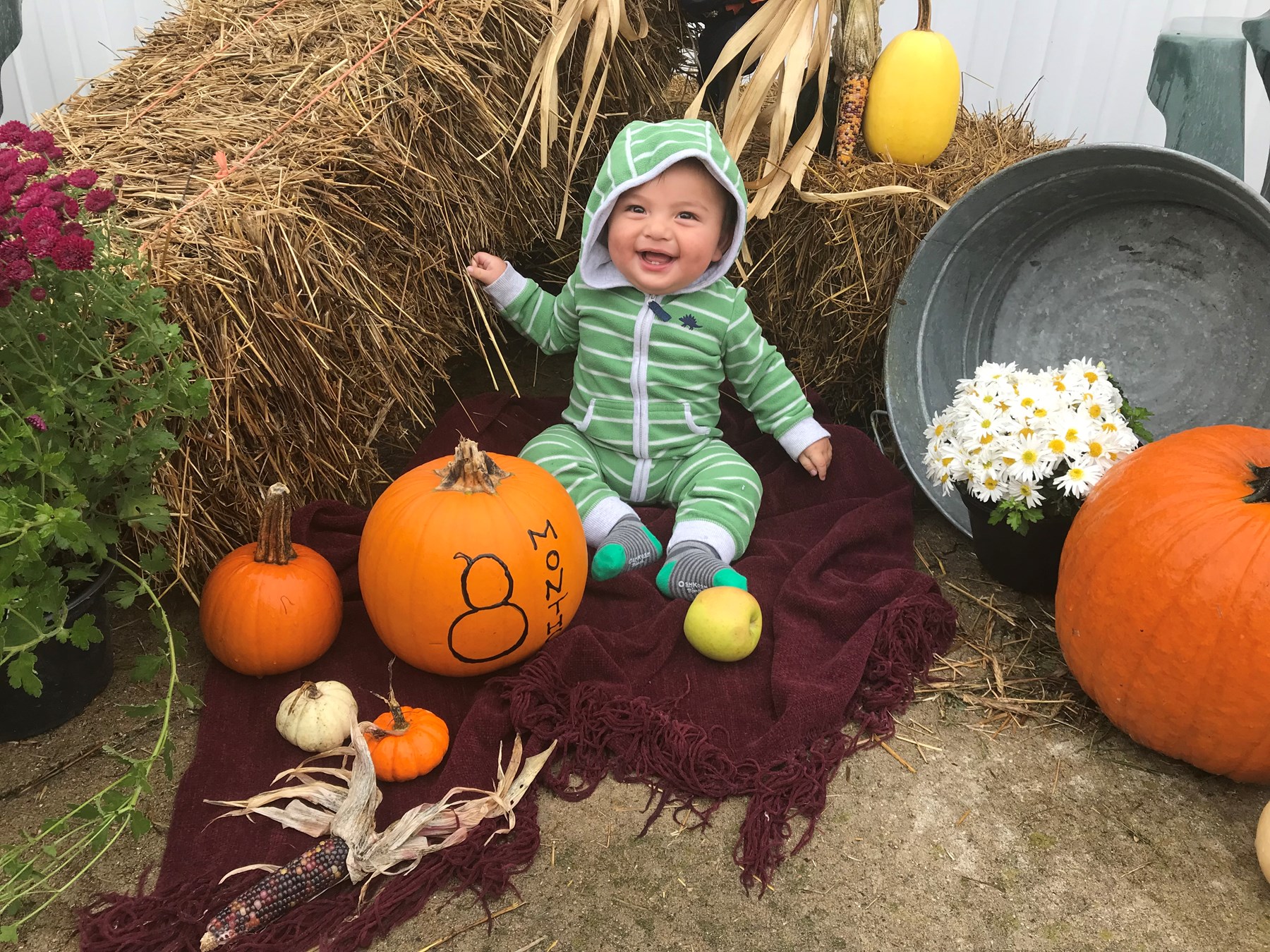 Obituary of Sebastian Jay Hull