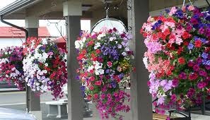 Obituary of Maria Aldegonda Theresia HUMPHREY