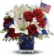 Obituary of William Stein