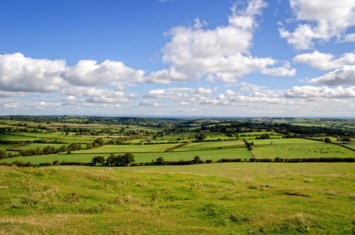 Obituary of Guido J. Manzo