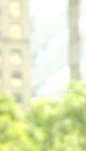 Stephen Rifkin Obituary - Raleigh, NC