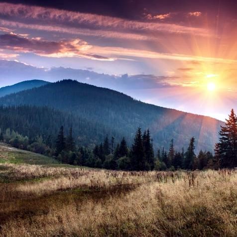 Obituary of Ronnie Hill