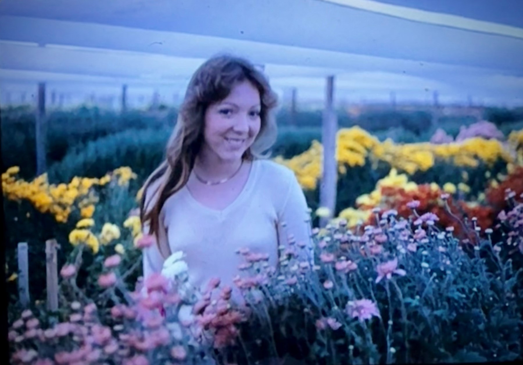 Obituary of Tamara Elizabeth McQueen