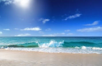 Obituary of Herman Paul Strickler