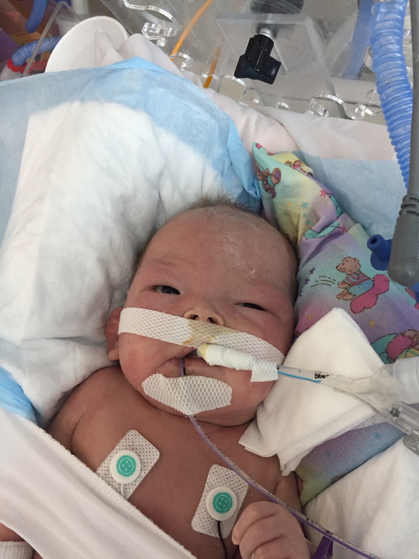 Obituary of Luca Ray Dixon