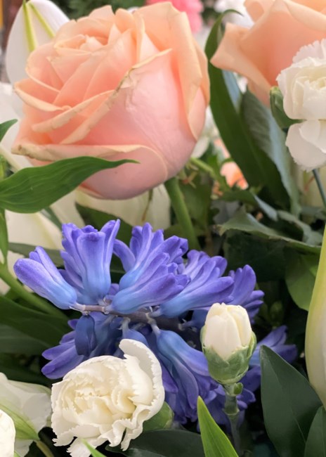 Obituary of Run Jiao Wang 王潤嬌