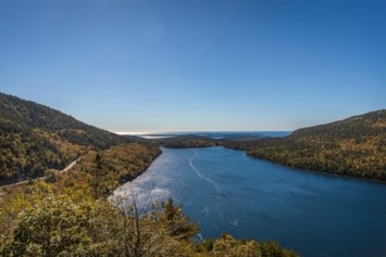 Avis de décès de Antonio Rocco Desalle Jr.