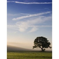 Obituary of Edwin A. Stouten