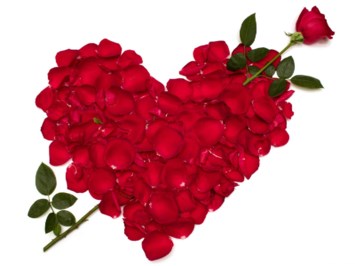 Obituary of Mrs. Zdenka Salerno