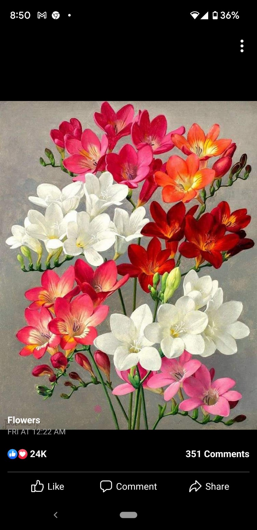 Obituario de Sandra Ann Love