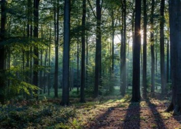 Obituary of Gary Raymond Mance