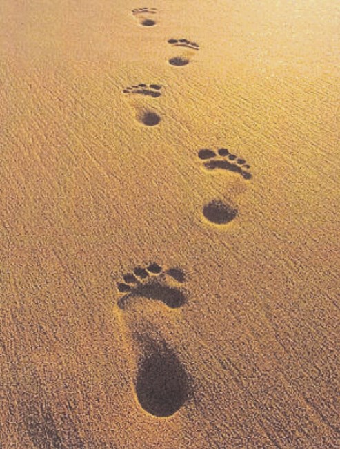 Obituary of Elga "Colleen" Phillips