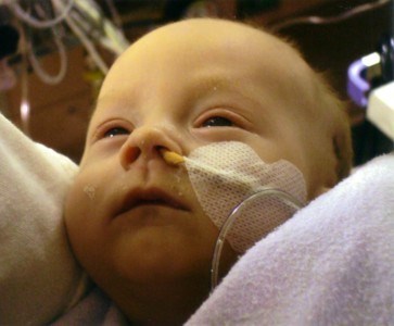 Obituary of Baby Owen David Hahn