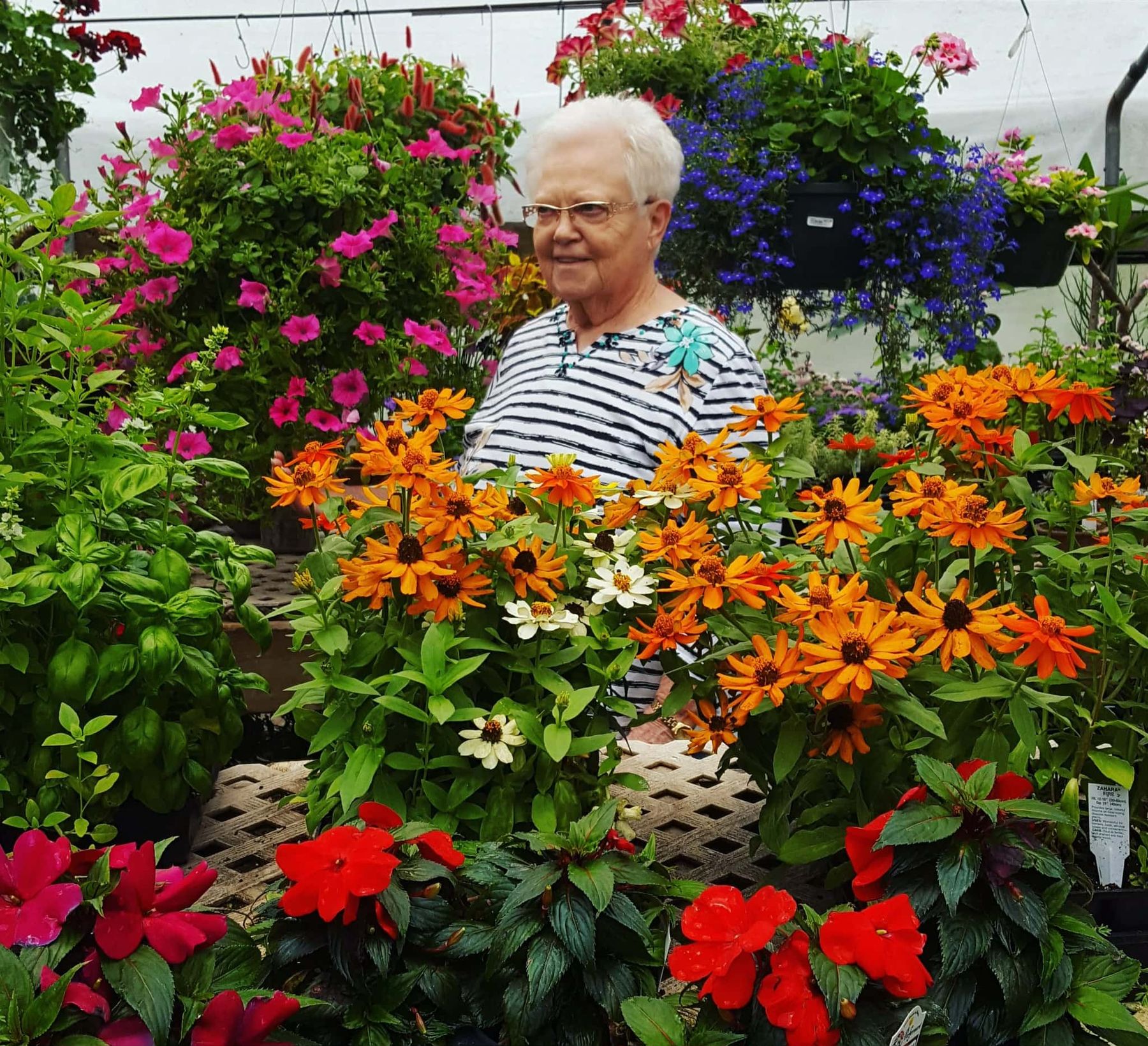 Obituary of Mary Frances Mullins