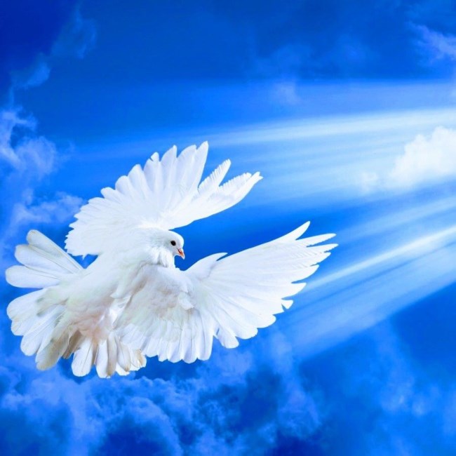 Obituary of Marian Joy Holmes