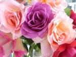 Winifred TURNER