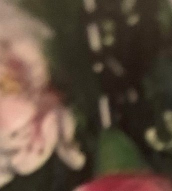 Peggy Farmer Moore Obituary Baton Rouge, LA