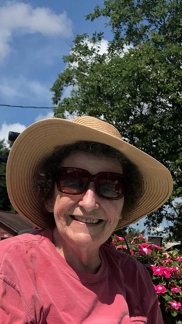 Obituary of Ann J. Phillips