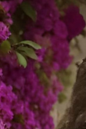 Christine Rejniak Obituary Highland, MI