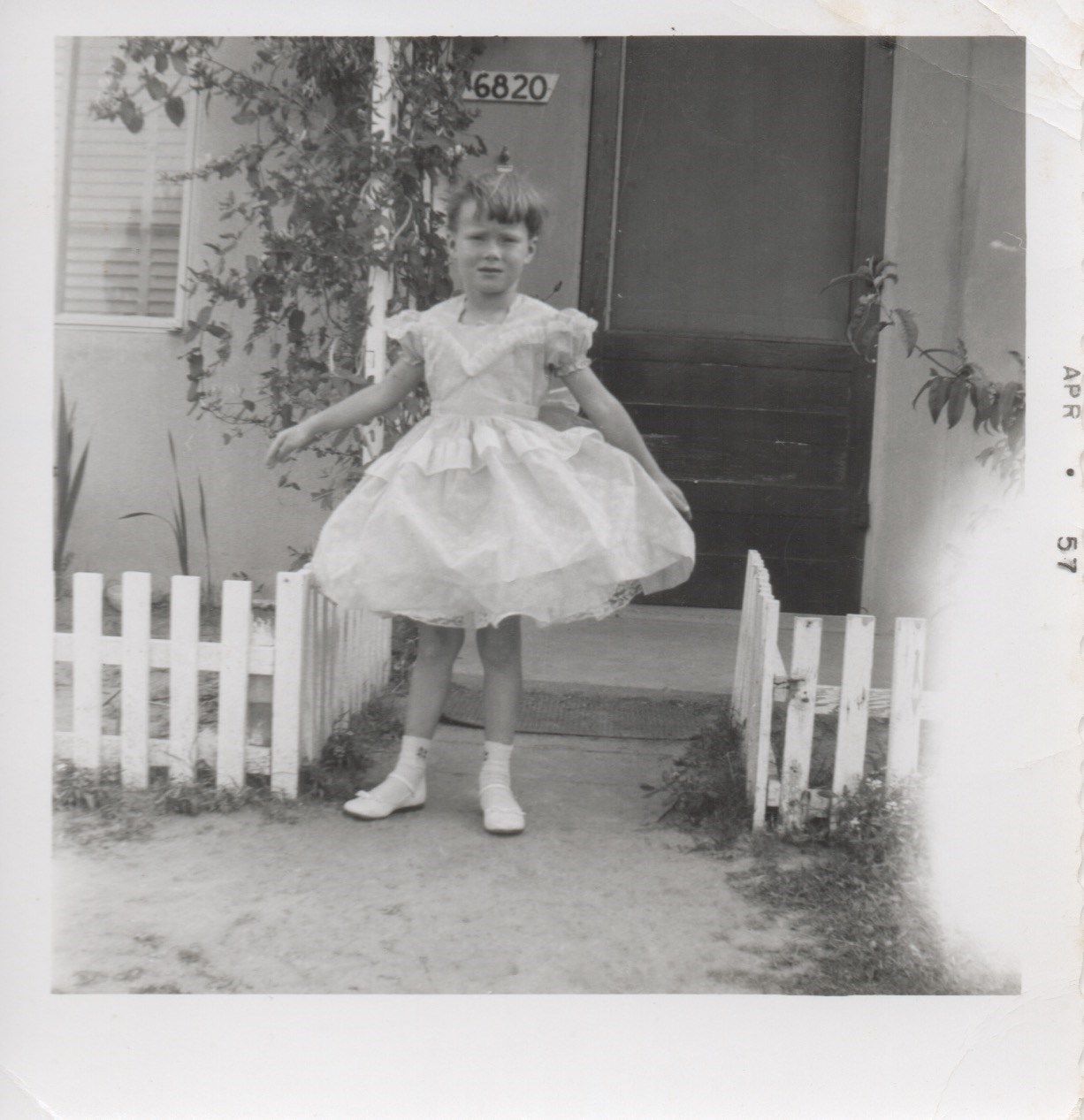 hobbs peggy dress