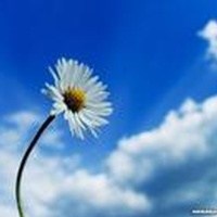 Obituary of Laura Dell Mease