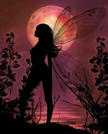 Obituary of Misty Dawn MACK