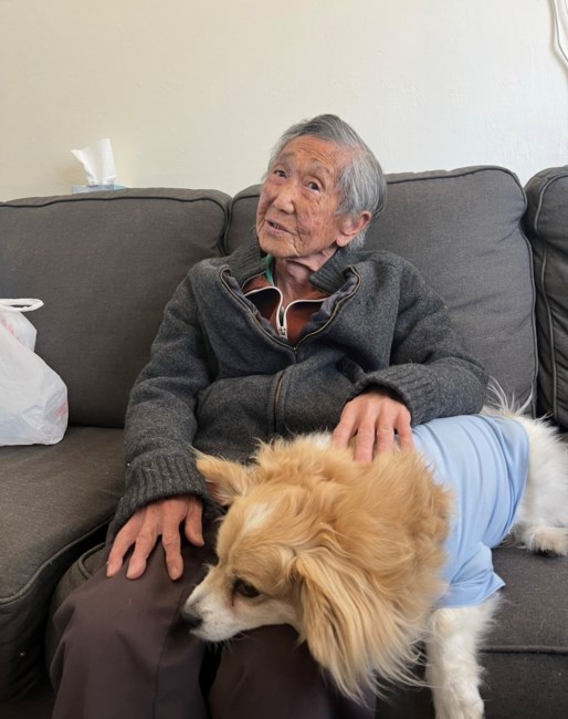 Obituary of Giao Ly Tran