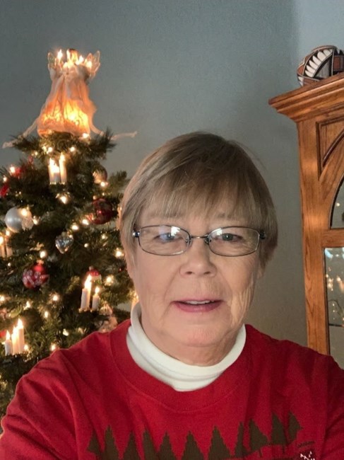 Obituary of Julie Ann Olson