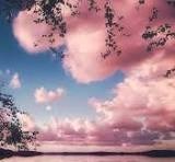 Obituary of Joan Lambert Hayes