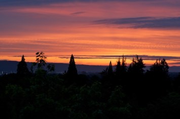 Obituary of Yhojan Daniel Herrera Castelblanco