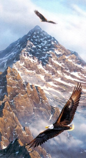 Obituary of John E. Miller Jr.