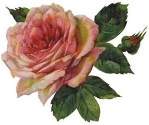 Obituary of Dorothy Earlene Waters Pierce