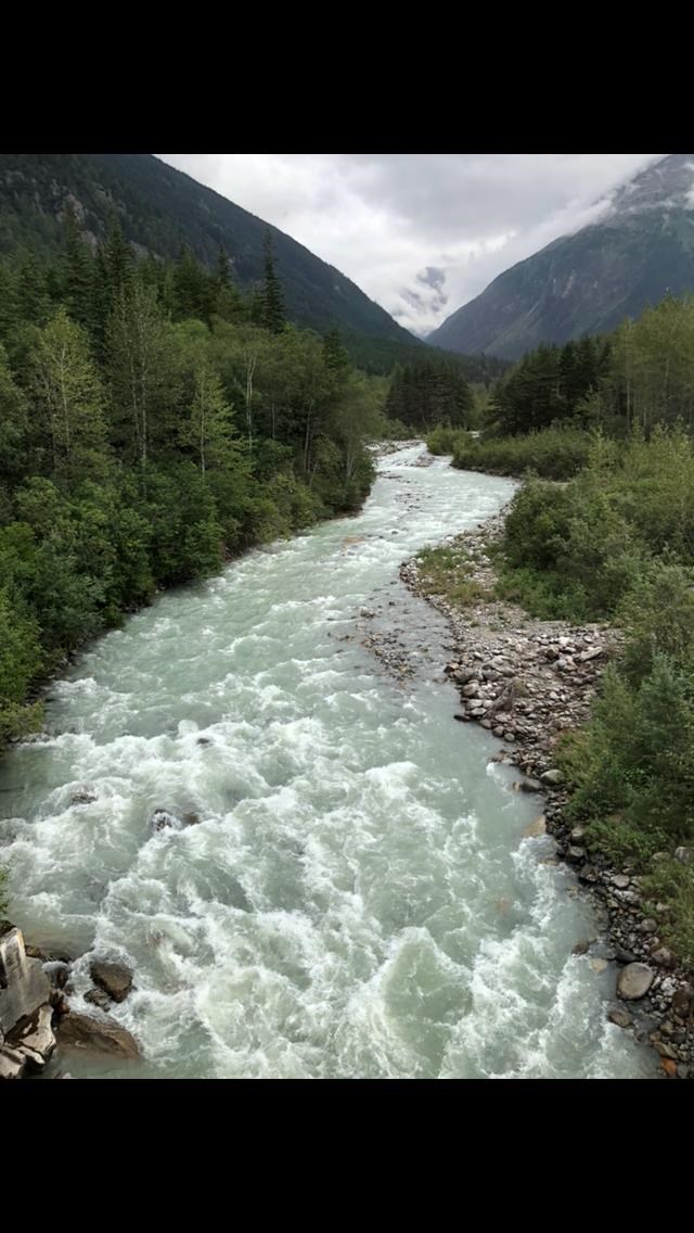 Obituary of Emanuel A. Pellegrini