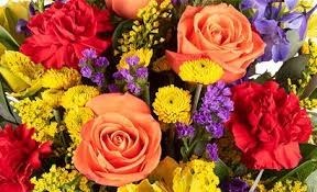 Obituary of Haley Michelle Halpern
