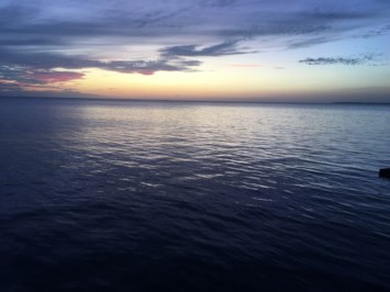 Obituary of William Howard Davis