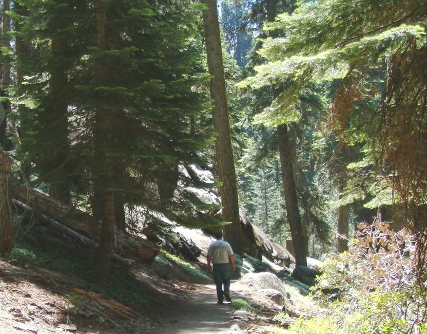 Obituary of Steven D. Ebert