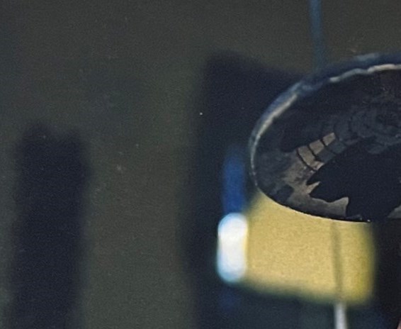 Donald Lee Nobles Jr Obituary Flagler Beach FL donald-lee-nobles-jr-obituary-flagler-beach-fl