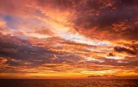 Obituary of Edward Bruce Shaw