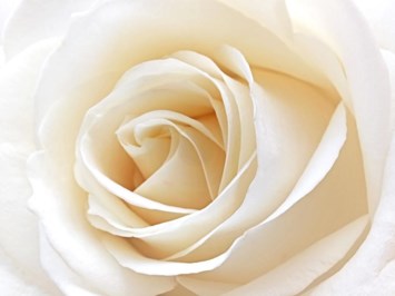 Obituary of Therese Mary Biltgen