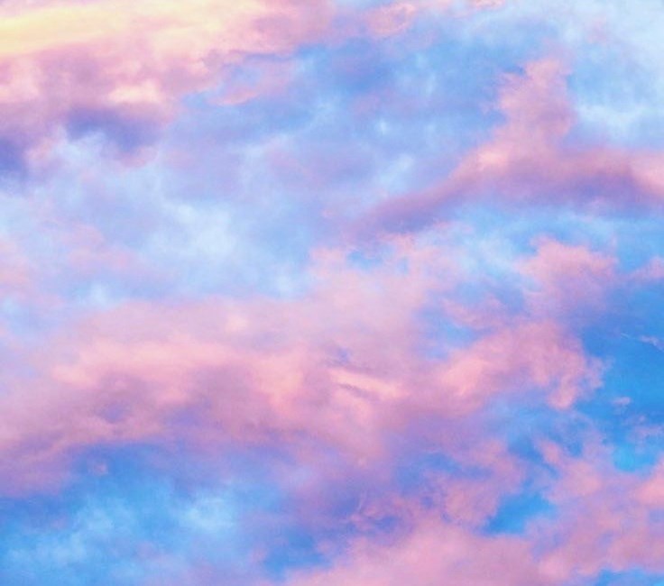 Obituary of Pamela Renee Evans