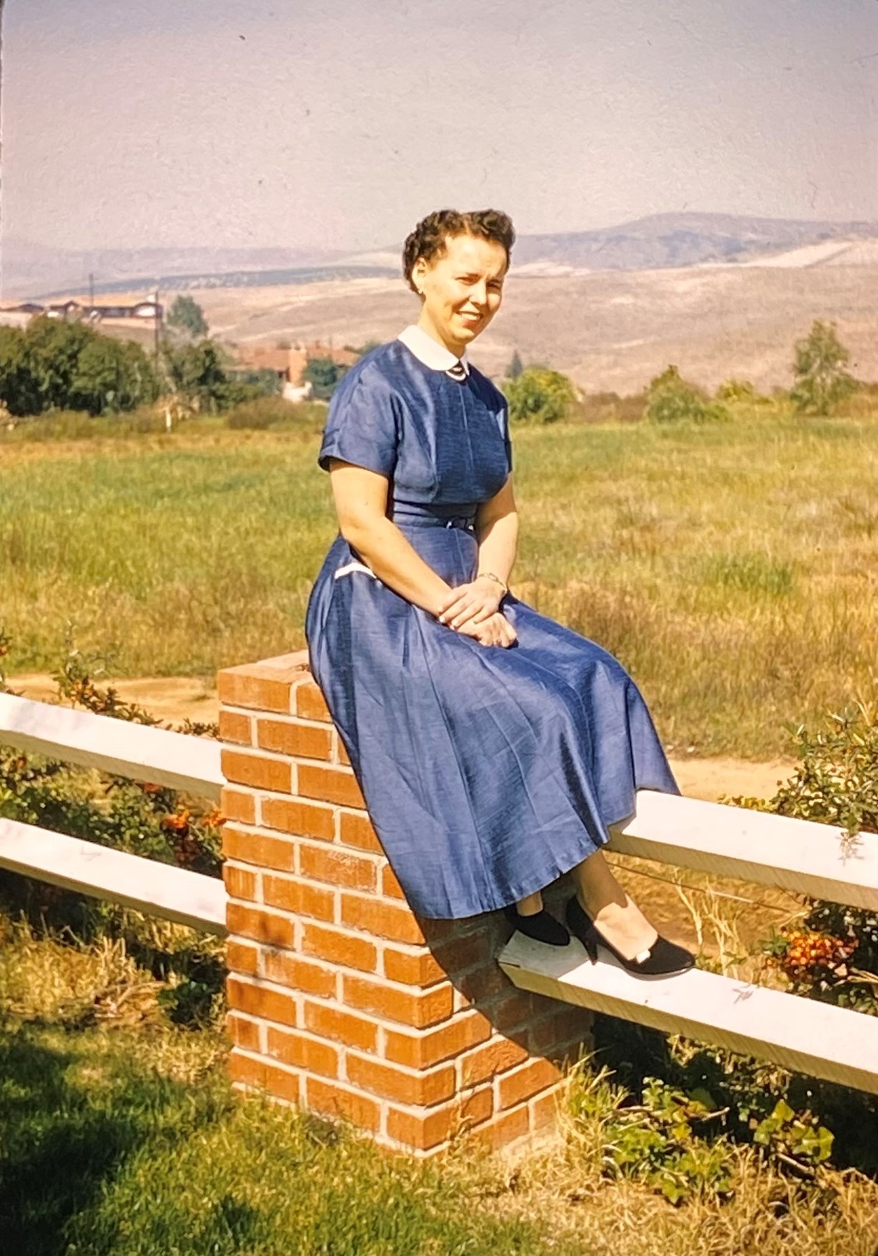 Obituary of Joan Barbara Roseman