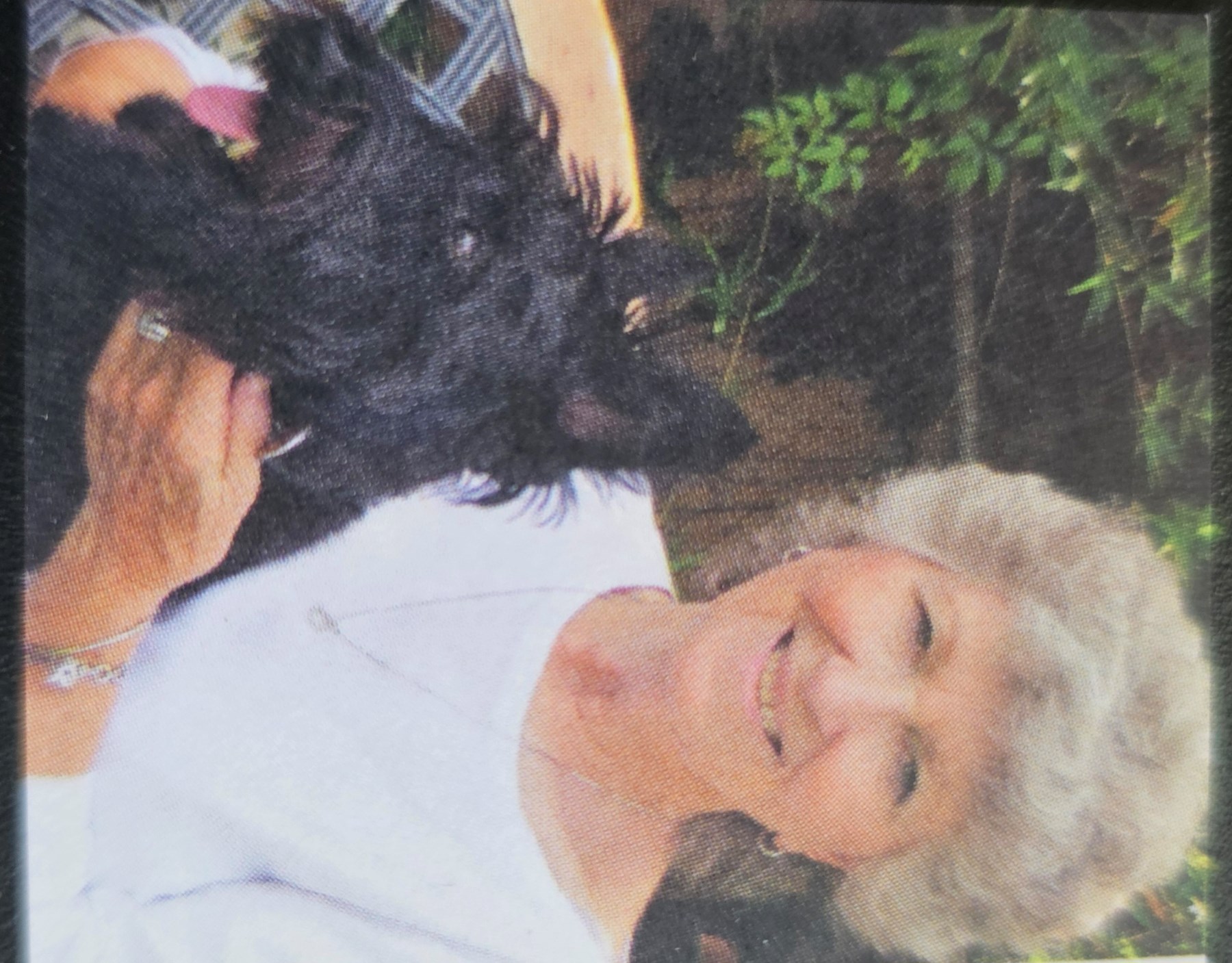 Obituary of Patricia Anderson Foster