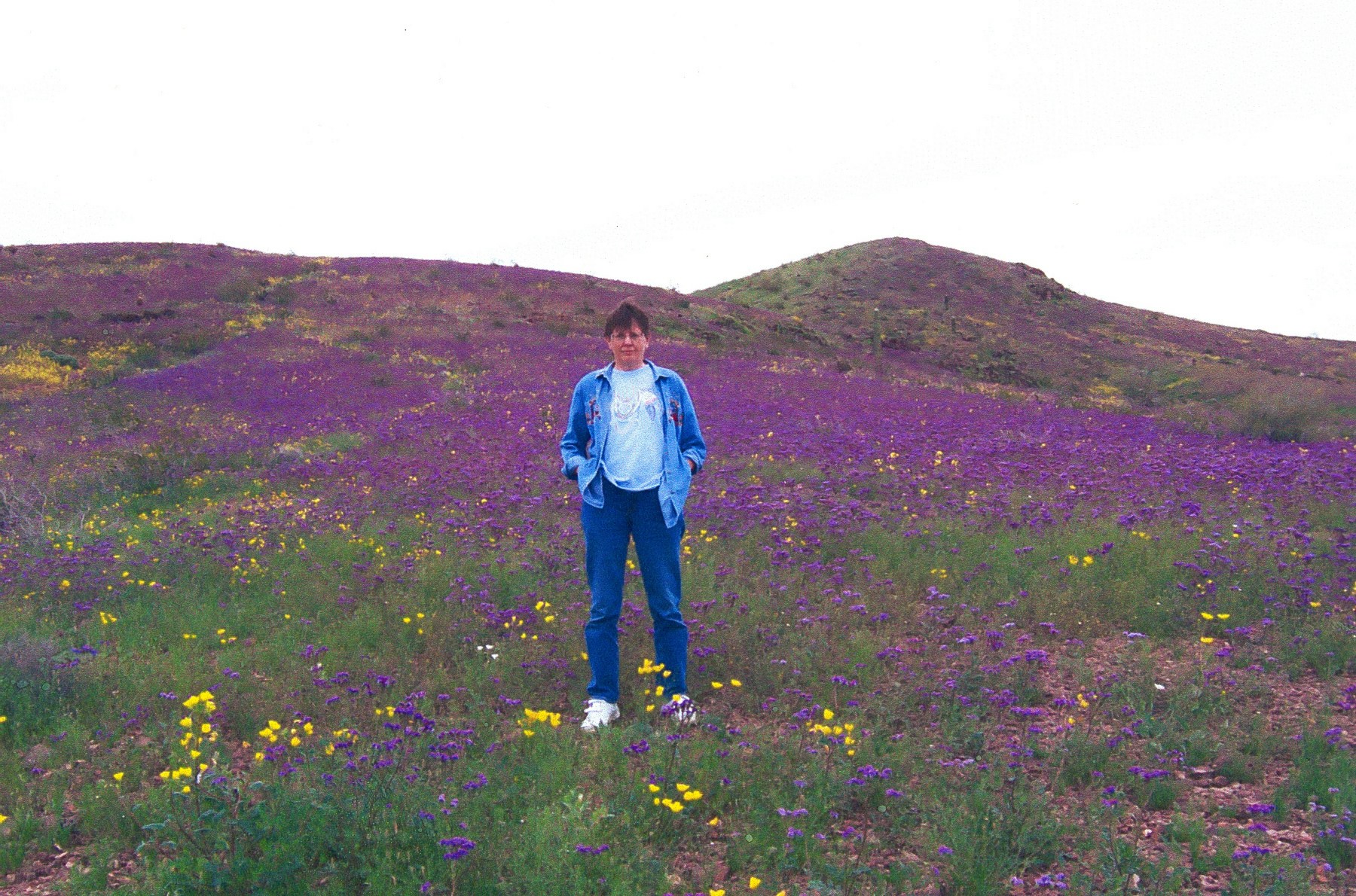 Obituary of Eileen Scott