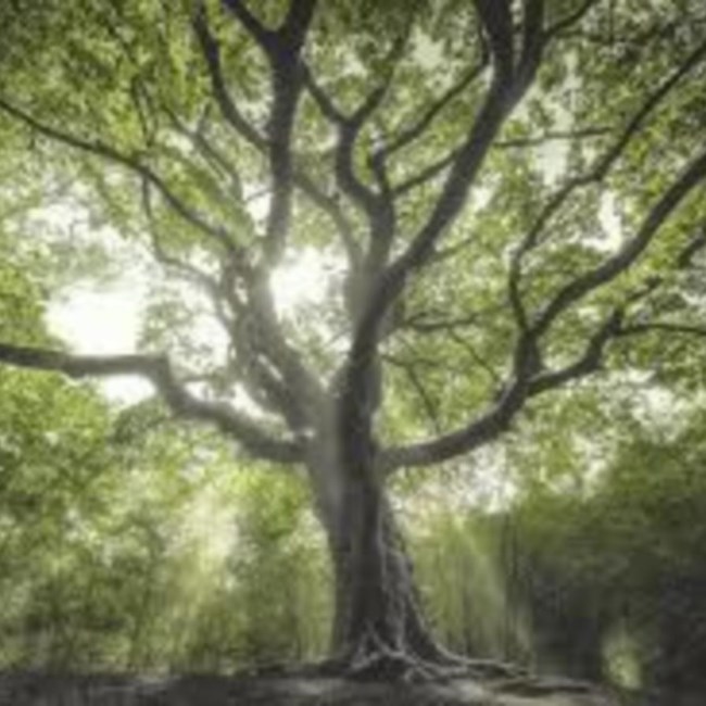 Obituary of Carlton J. Crockett