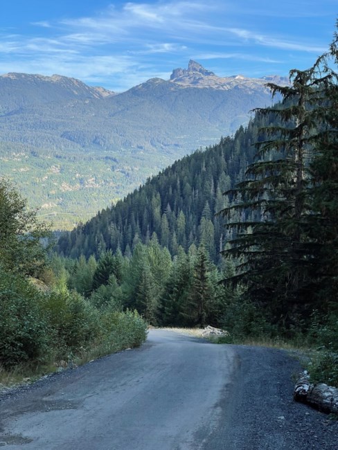 Obituary of Peter Mueller